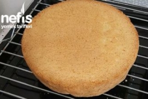 Pandispanya Pandispanya