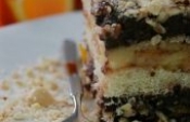 Portakallı Kedidili Pastası Tarifi Portakallı Kedidili Pastası Tarifi