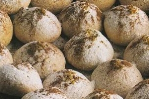 Tarçınlı Kurabiye Tarifi Tarçınlı Kurabiye Tarifi