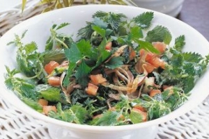 Isırgan Otu Salatası Isırgan Otu Salatası