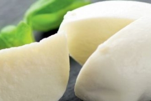 Badem Loru Badem Loru