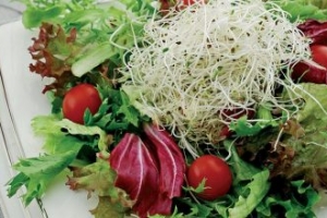 Fesleğen Soslu Akdeniz Salatası Fesleğen Soslu Akdeniz Salatası