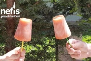 Karpuzlu Kayısılı Fit Dondurma Karpuzlu Kayısılı Fit Dondurma