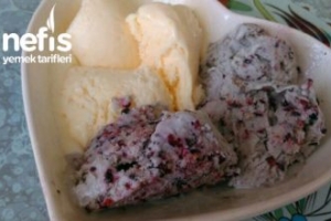 Harikulade Gelato Dondurma Karadut Ve Sade Harikulade Gelato Dondurma Karadut Ve Sade