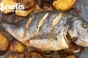 Fırında Levrek Tarifi Fırında Levrek Tarifi