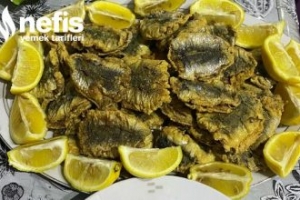 Sardalya Kızartması Sardalya Kızartması