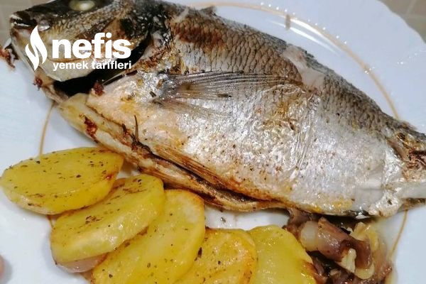 Yemek üstüne tatlı yer gibi escort yemek ister misiniz?