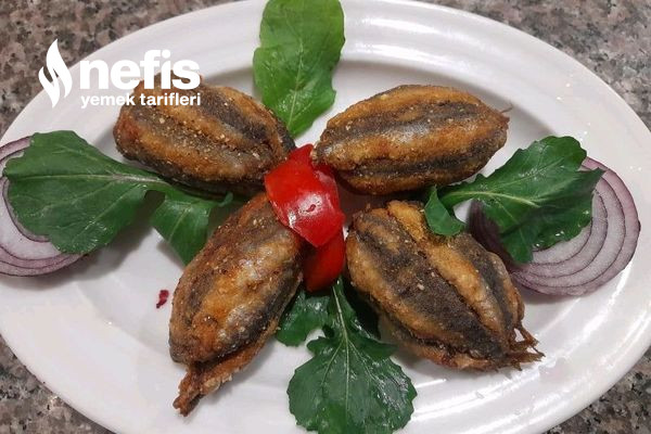 Hamsi Kuşu Hamsi Dolması Videolu