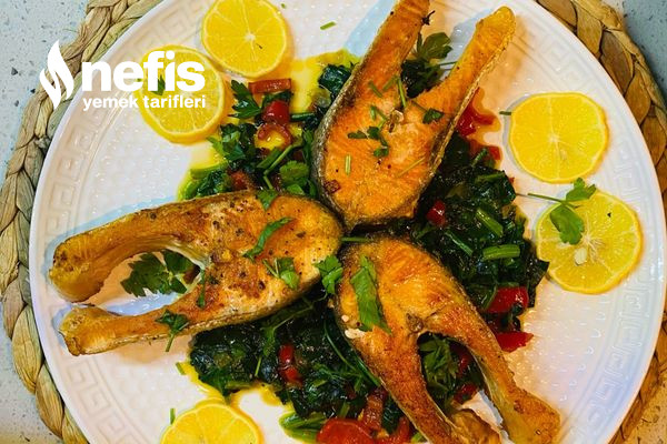 Ispanak Yatağında Somon