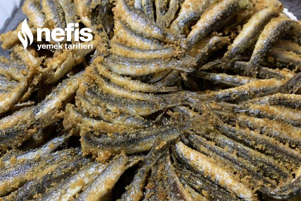 Çıtır Çıtır Hamsi