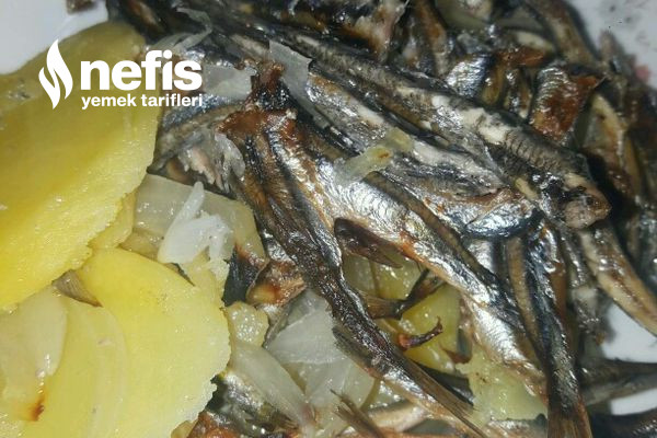Fırında Patatesli Hamsi Buğulama