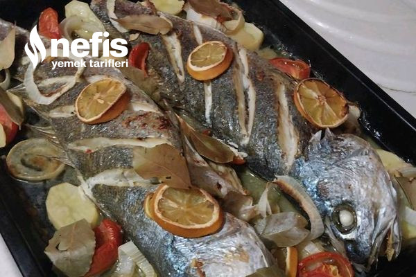 Fırında Kaya Levreği