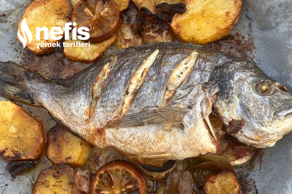 Fırında Levrek Tarifi